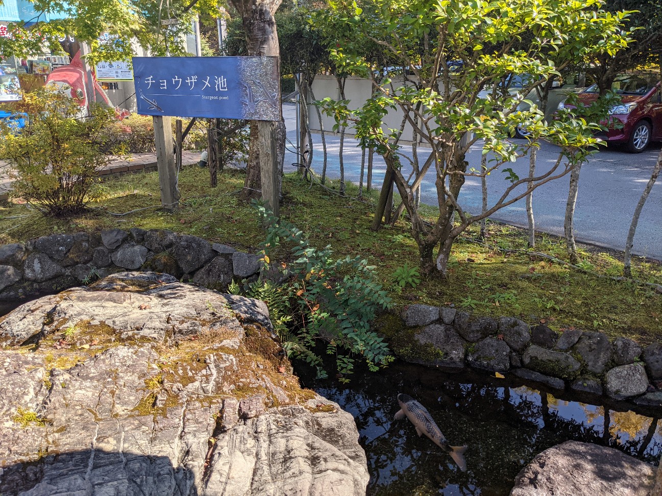 f:id:ranchou:20220706080331j:image