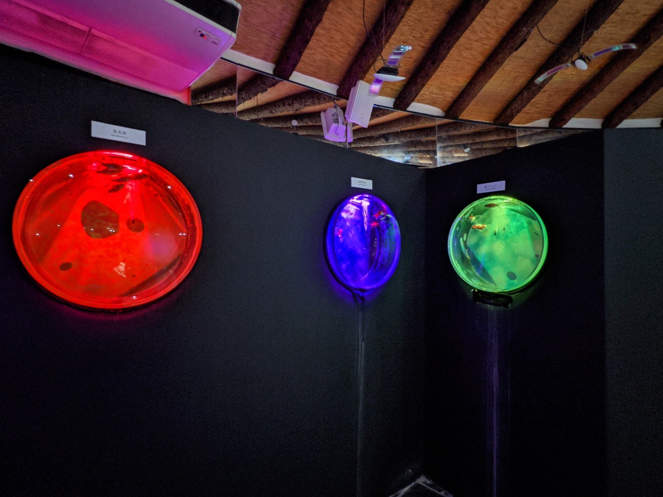 f:id:ranchou:20220706081827j:image