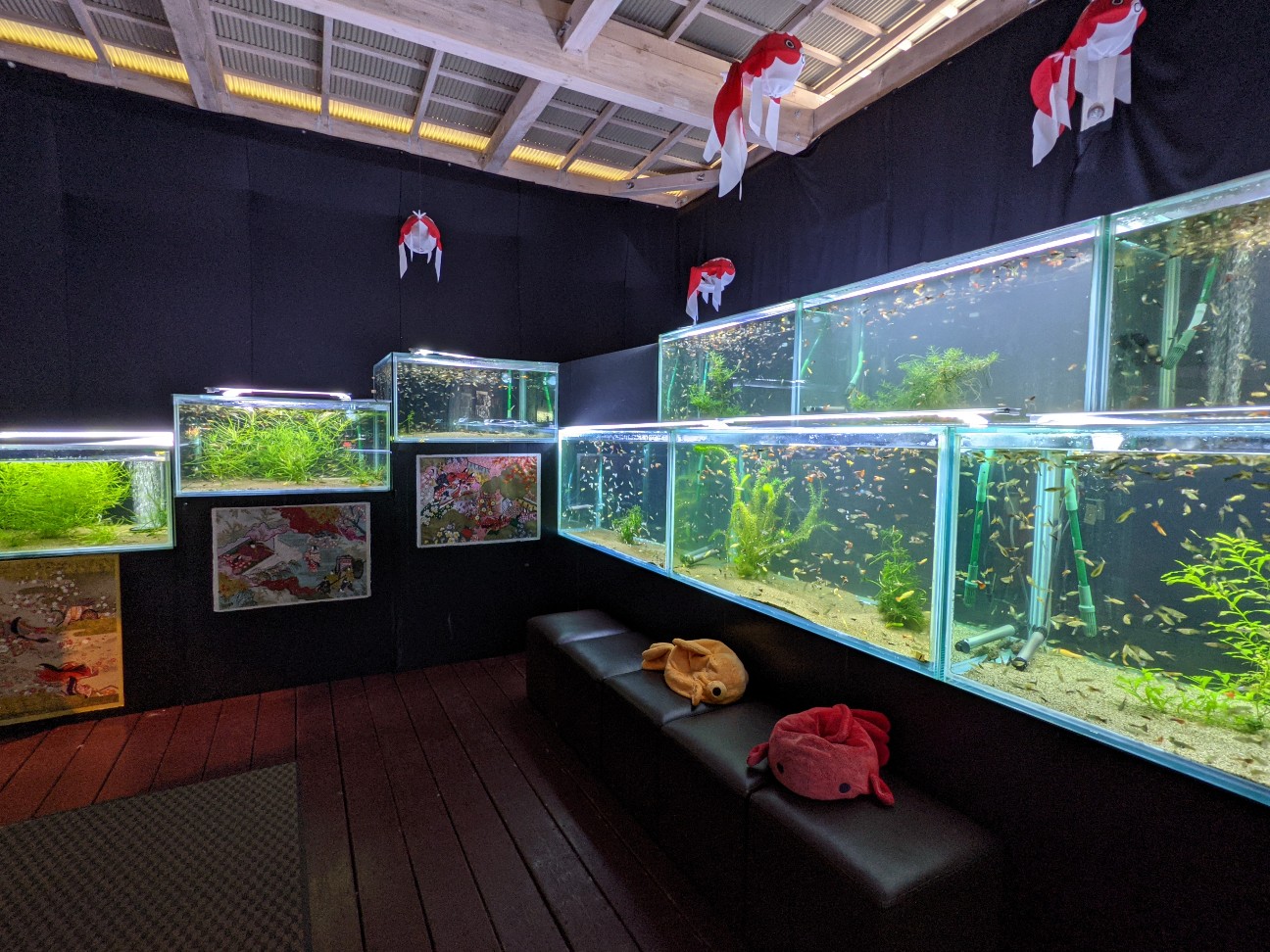 f:id:ranchou:20220706082000j:image