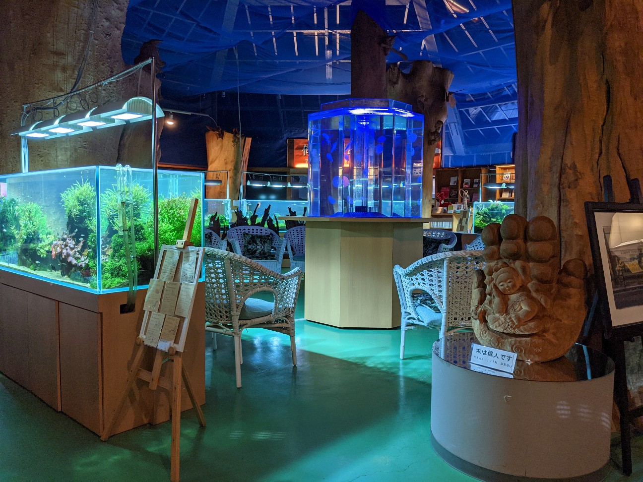 f:id:ranchou:20220706082035j:image