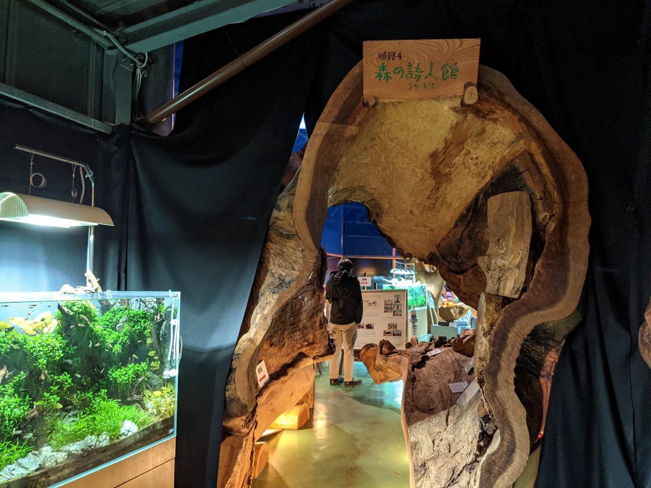 f:id:ranchou:20220706082103j:image