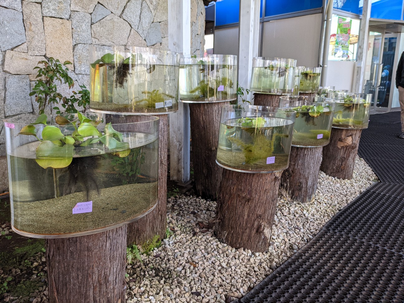 f:id:ranchou:20220706082153j:image