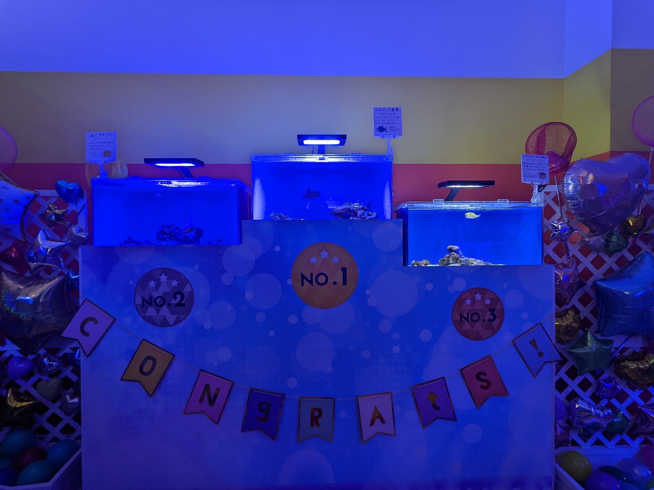 f:id:ranchou:20220710190849j:image