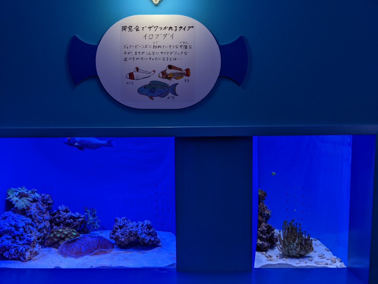 f:id:ranchou:20220710190933j:image