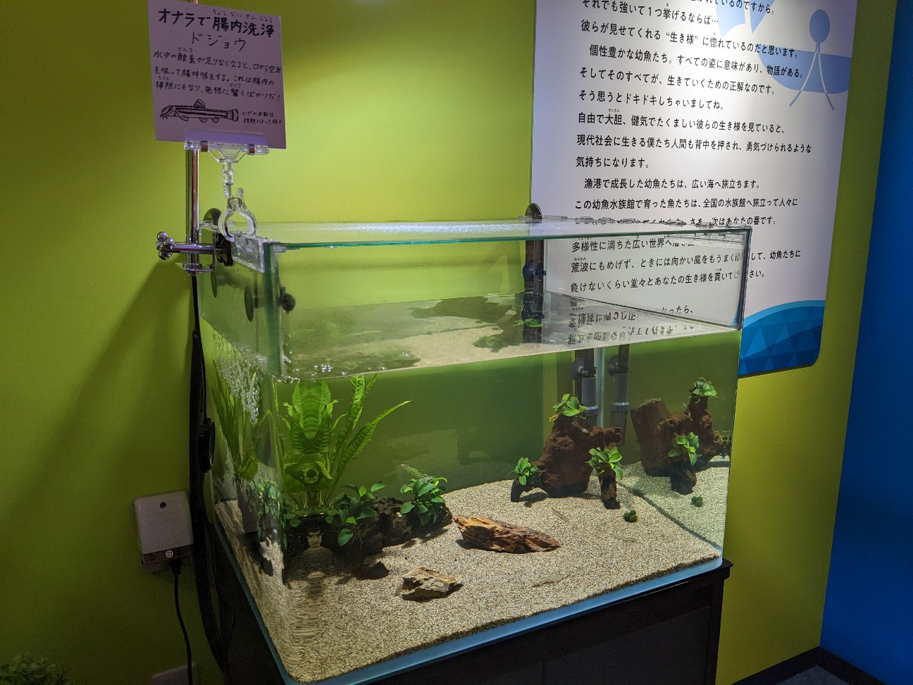 f:id:ranchou:20220710191158j:image