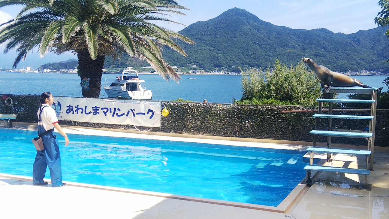 f:id:ranchou:20220714084415j:image