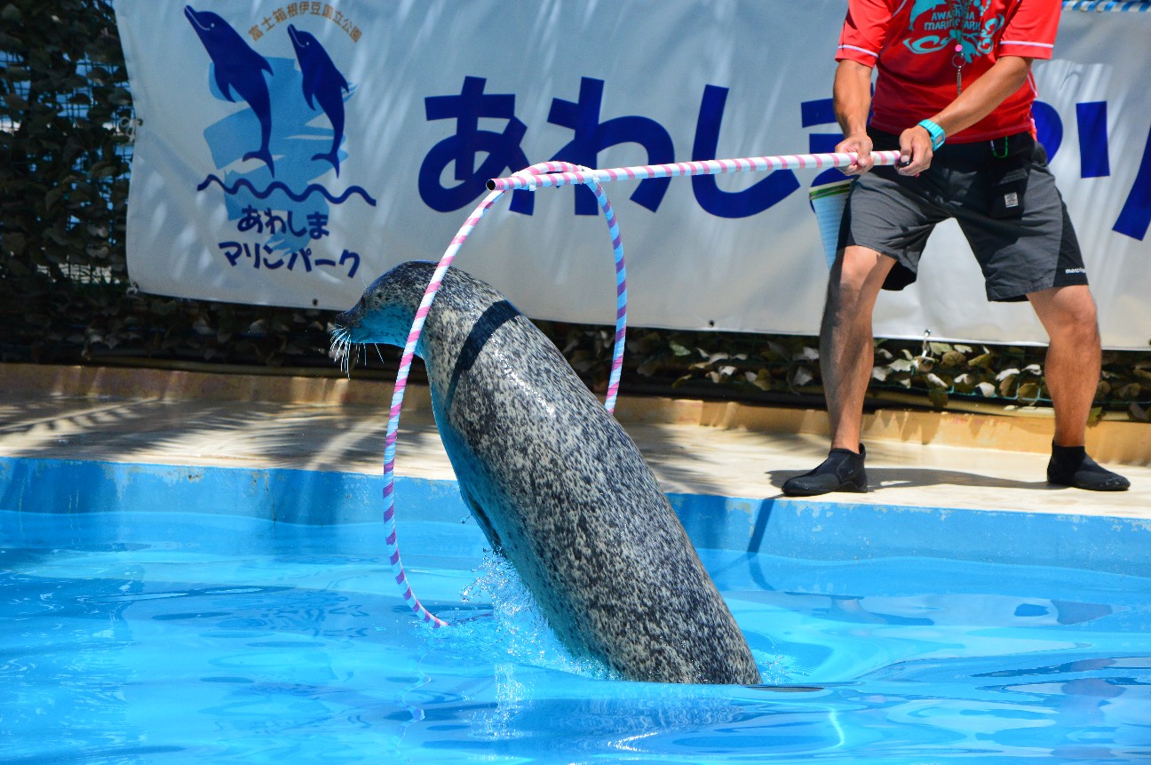 f:id:ranchou:20220714084540j:image