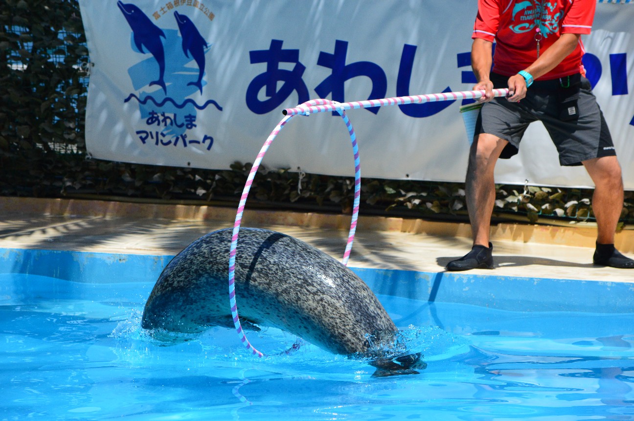 f:id:ranchou:20220714084556j:image