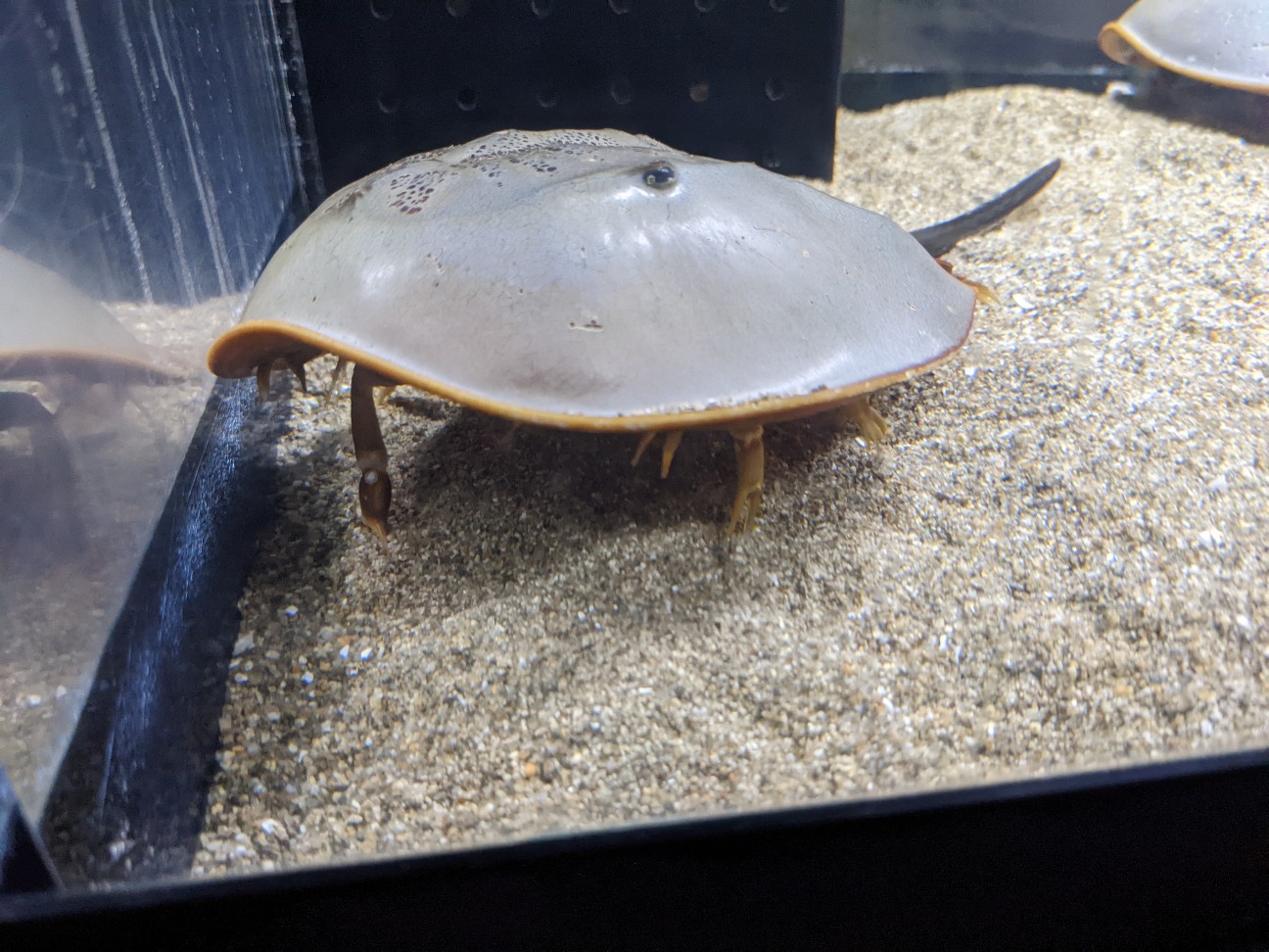 f:id:ranchou:20220716074644j:image f:id:ranchou:20220716074644j:image