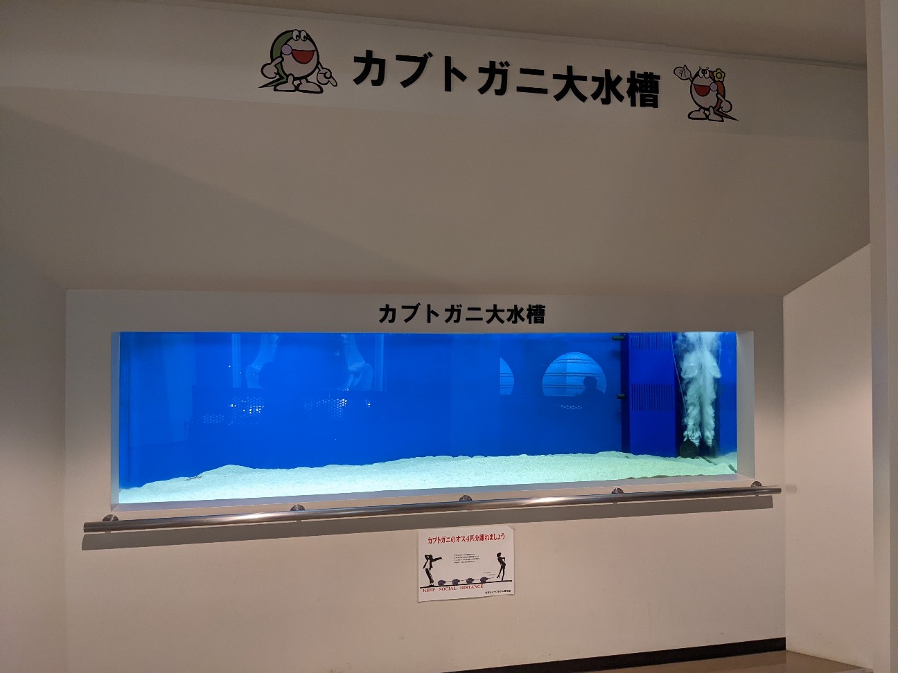 f:id:ranchou:20220716074736j:image f:id:ranchou:20220716074736j:image