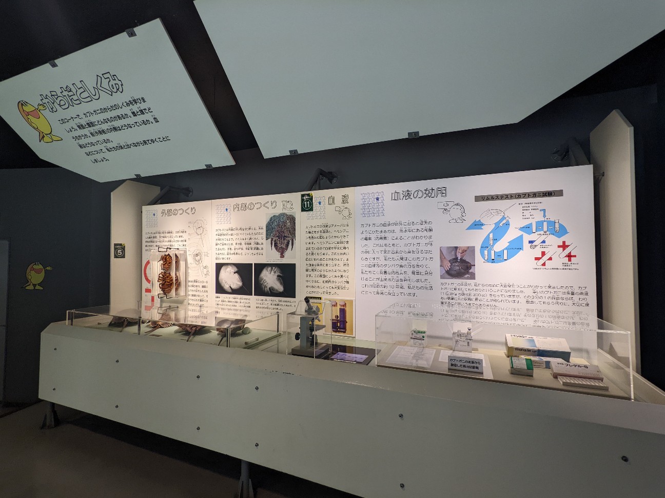 f:id:ranchou:20220716074818j:image f:id:ranchou:20220716074818j:image