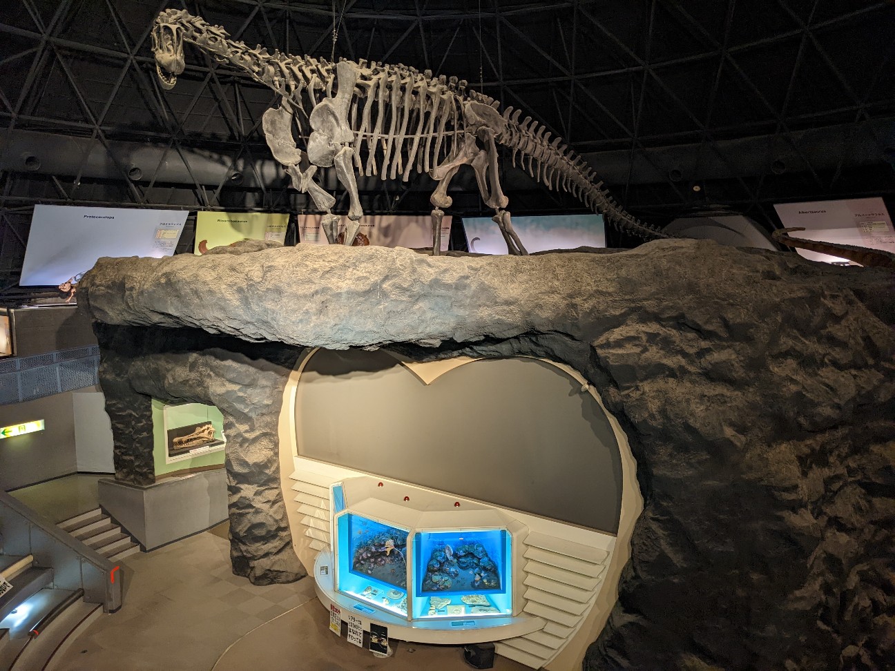 f:id:ranchou:20220716074842j:image f:id:ranchou:20220716074842j:image