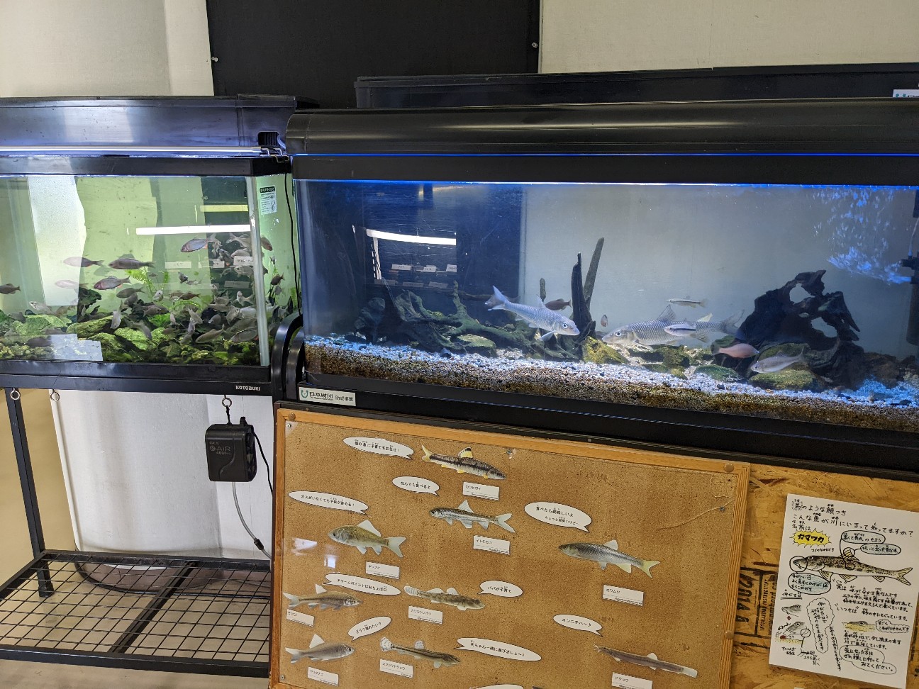 f:id:ranchou:20220716074927j:image f:id:ranchou:20220716074927j:image