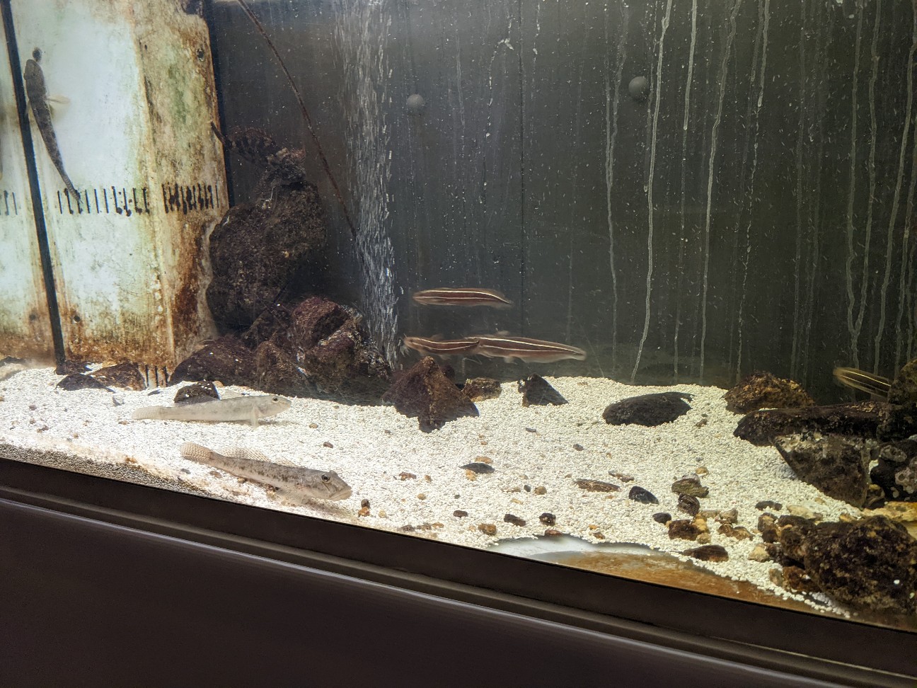 f:id:ranchou:20220716074939j:image f:id:ranchou:20220716074939j:image