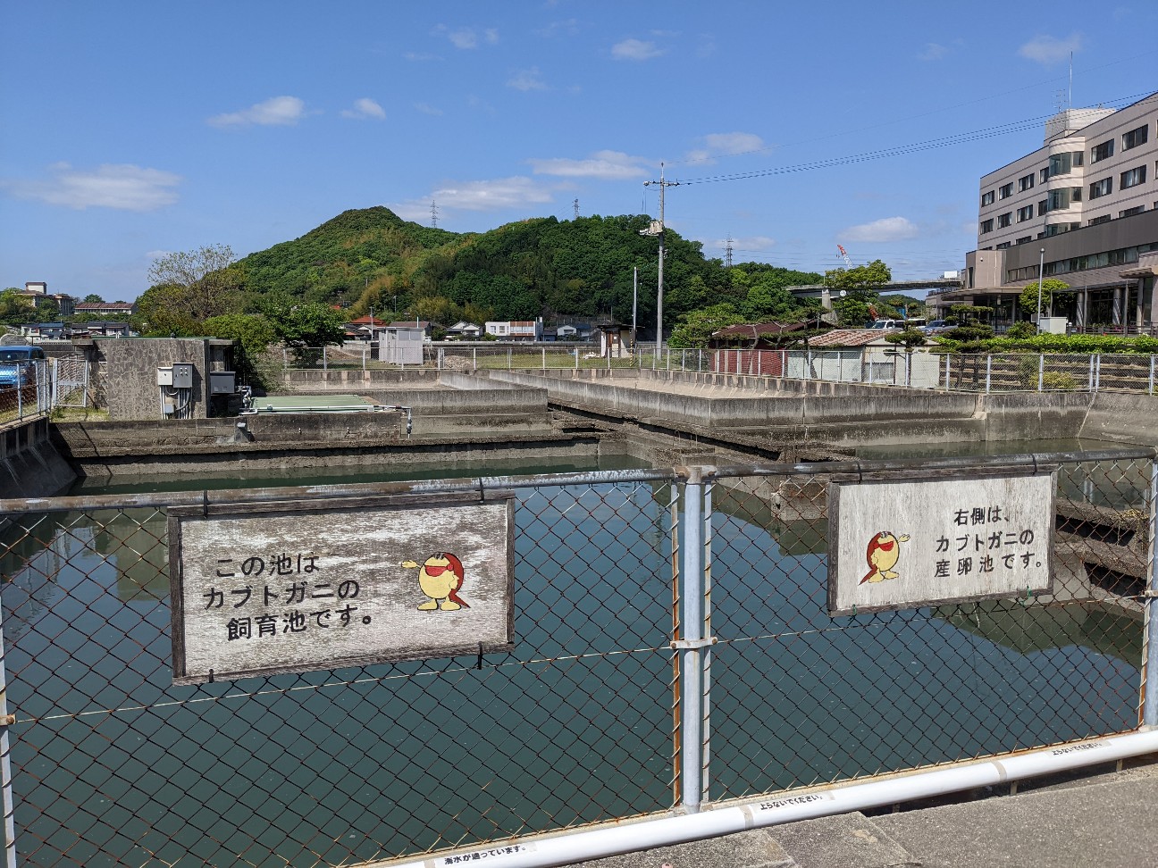 f:id:ranchou:20220716075024j:image f:id:ranchou:20220716075024j:image