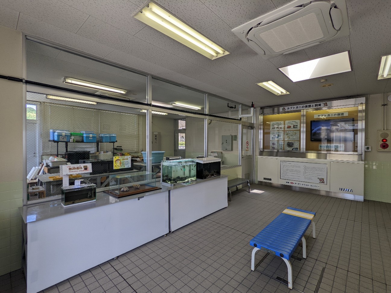 f:id:ranchou:20220716075156j:image f:id:ranchou:20220716075156j:image