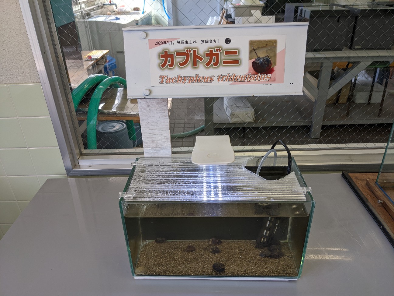 f:id:ranchou:20220716075212j:image f:id:ranchou:20220716075212j:image