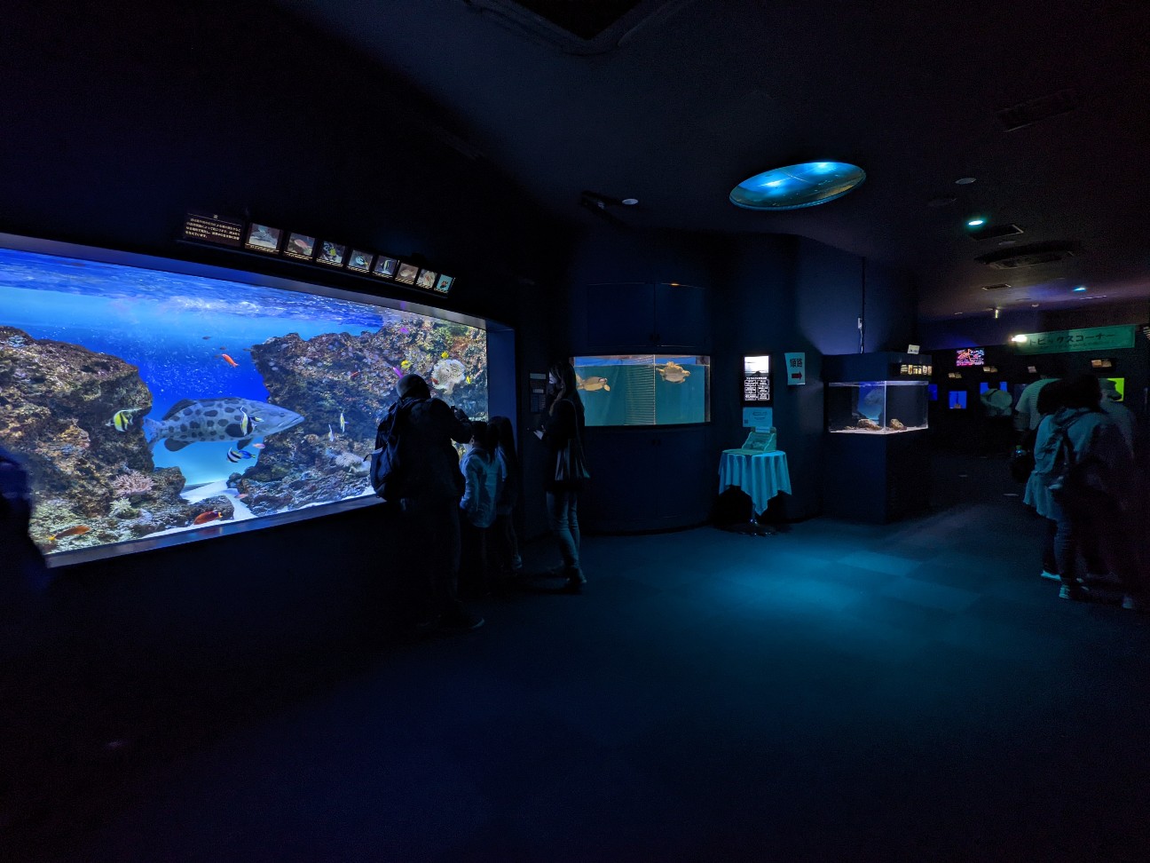 f:id:ranchou:20220718095919j:image