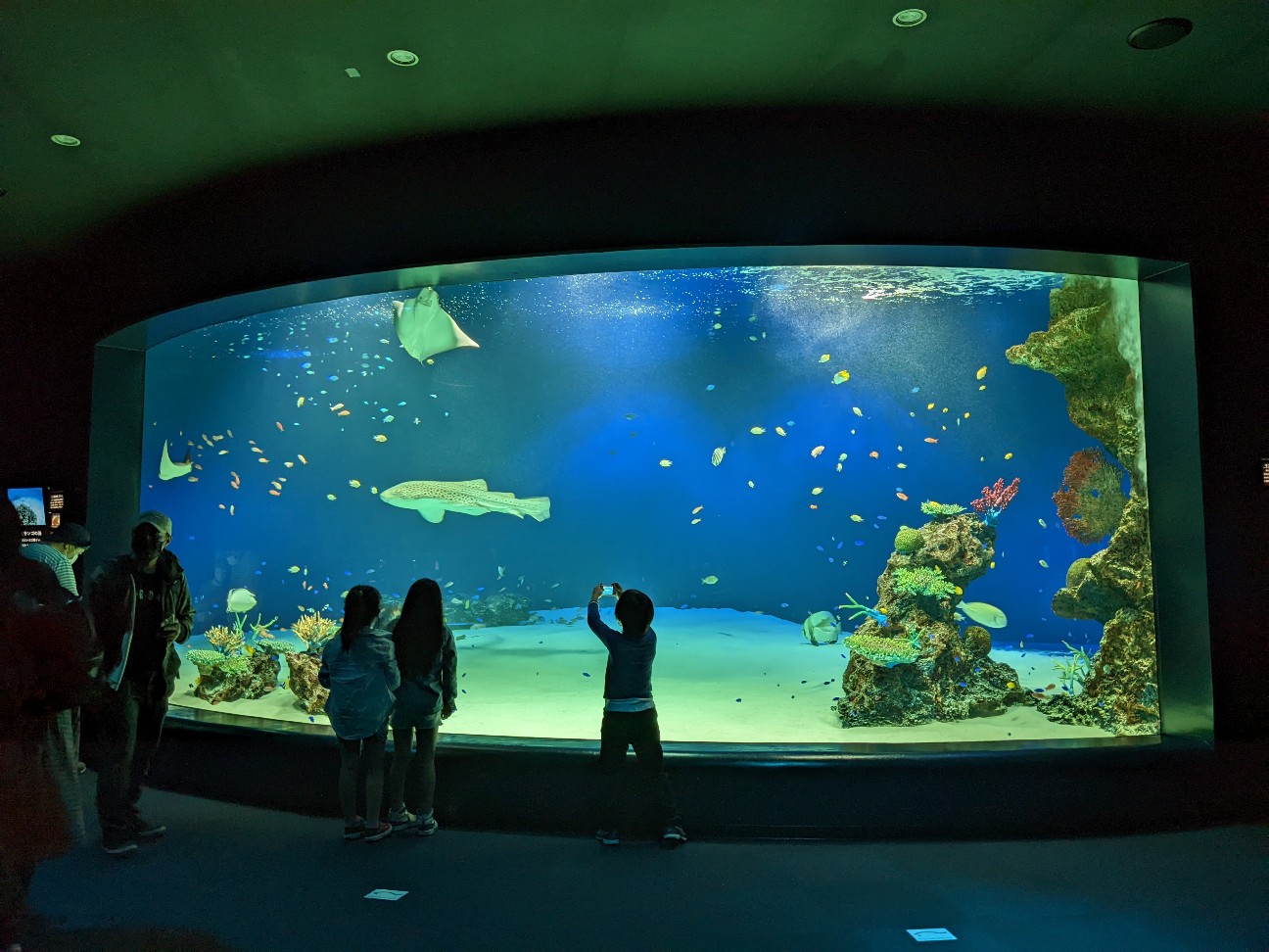 f:id:ranchou:20220718095930j:image