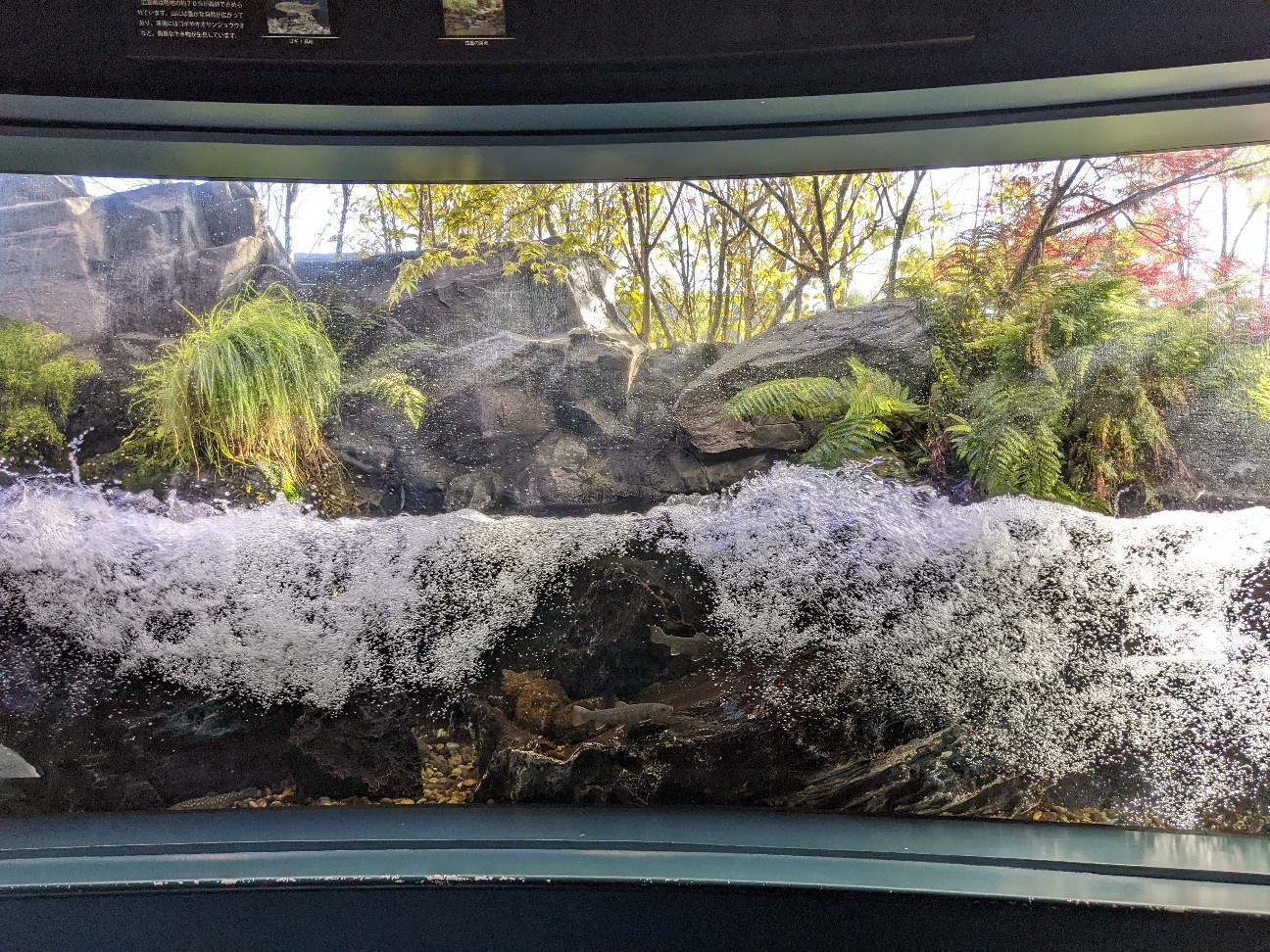 f:id:ranchou:20220718100225j:image