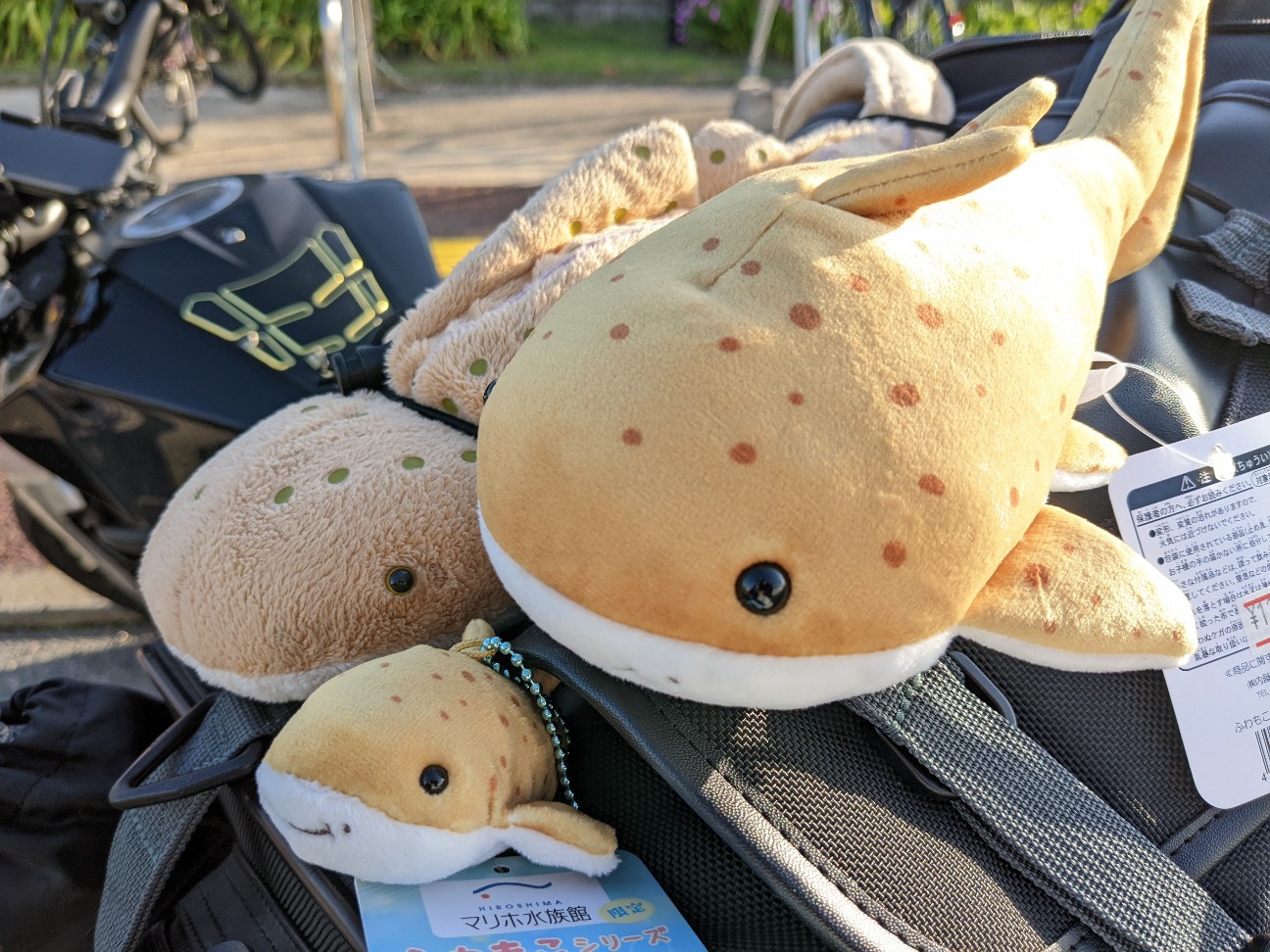 f:id:ranchou:20220718100555j:image