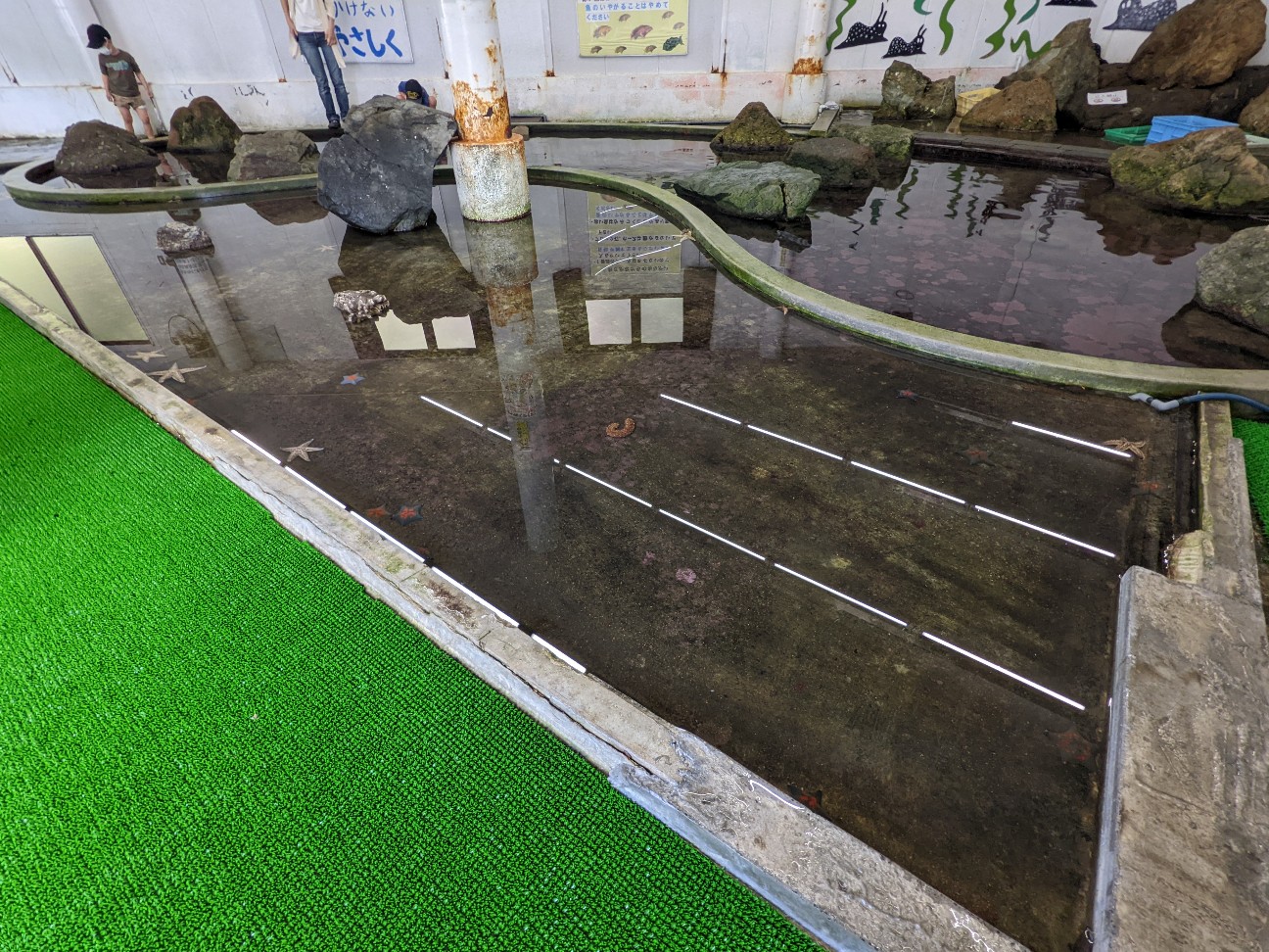 f:id:ranchou:20220719113630j:image