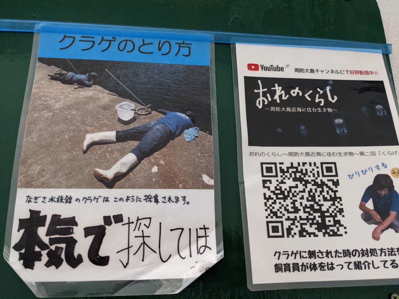 f:id:ranchou:20220719113707j:image