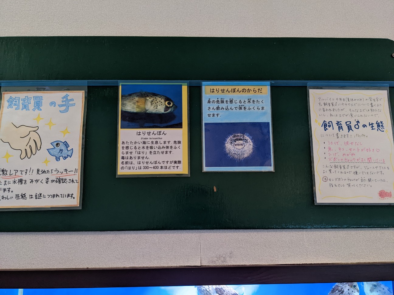 f:id:ranchou:20220719113732j:image