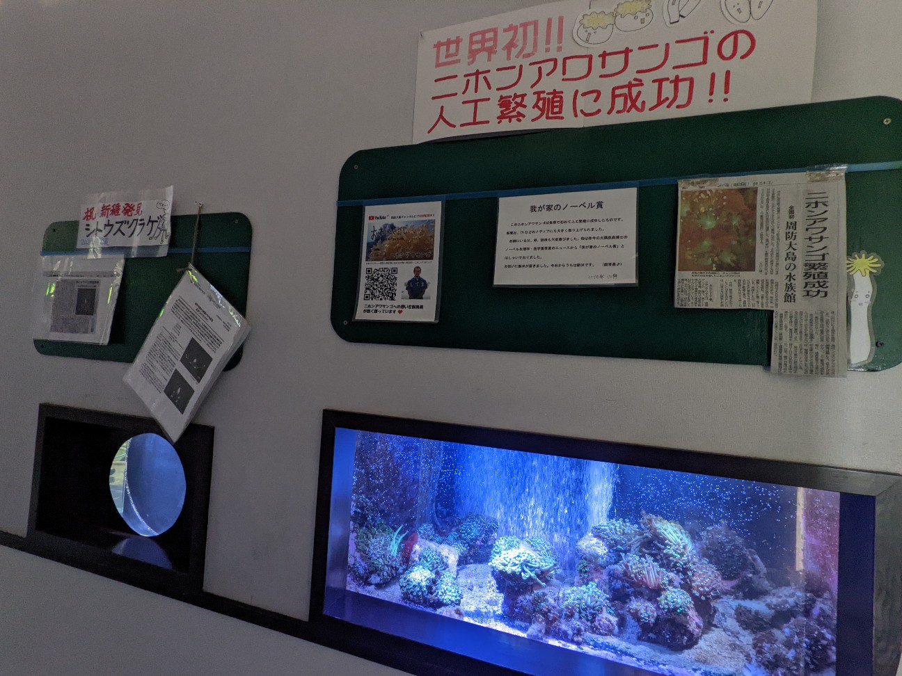 f:id:ranchou:20220719114316j:image