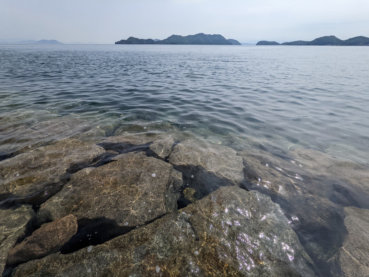 f:id:ranchou:20220719114643j:image