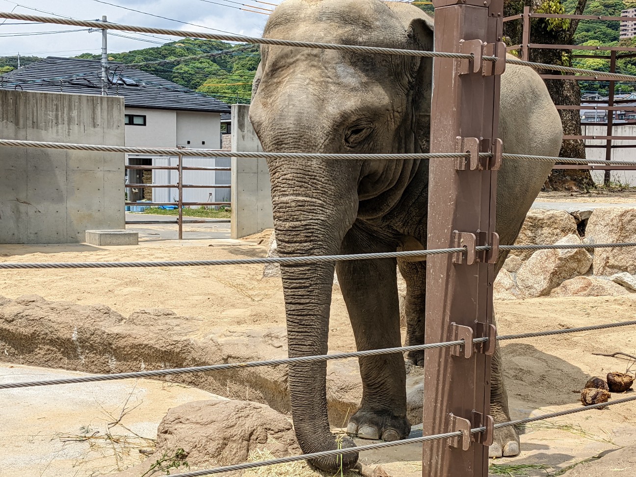 f:id:ranchou:20220720081336j:image