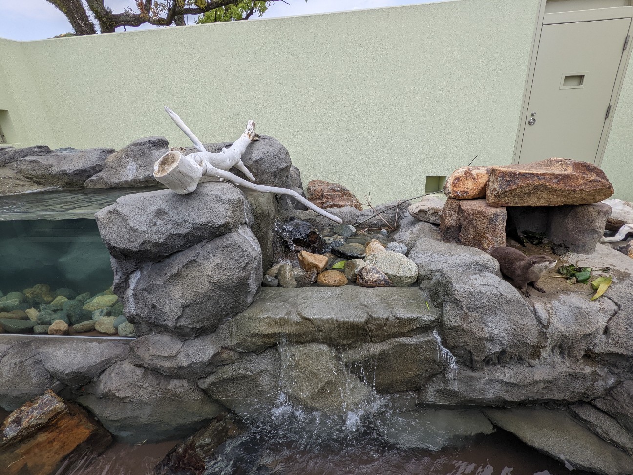 f:id:ranchou:20220720081348j:image