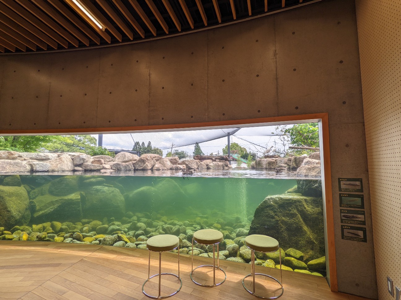 f:id:ranchou:20220720183512j:image