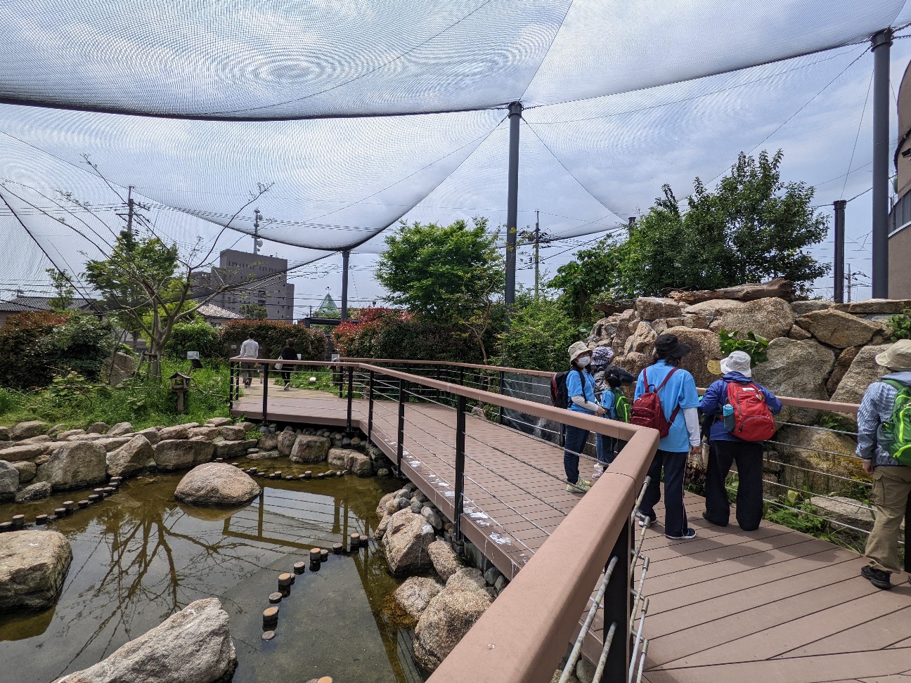 f:id:ranchou:20220720190634j:image