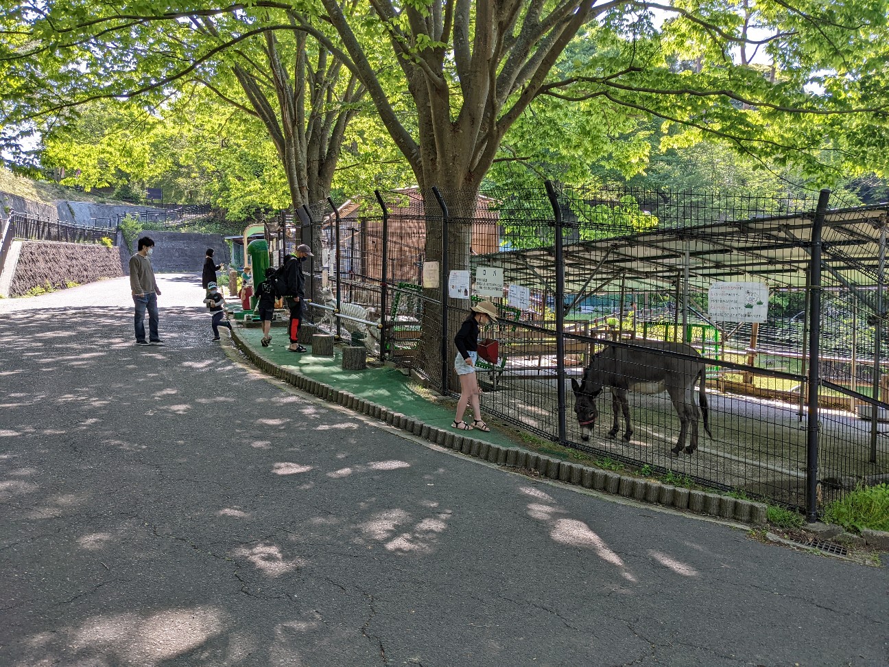 f:id:ranchou:20220725221250j:image