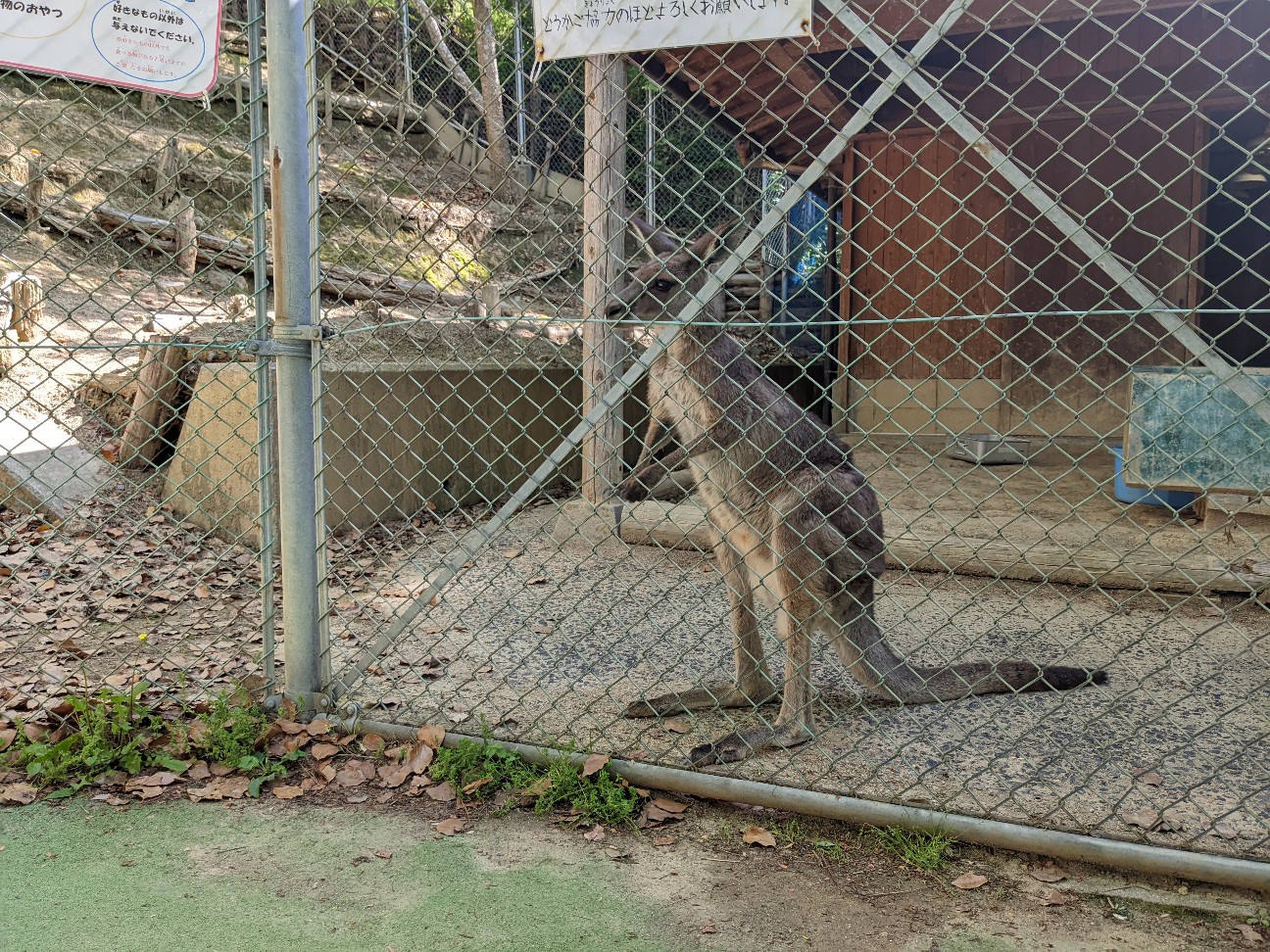 f:id:ranchou:20220725221323j:image