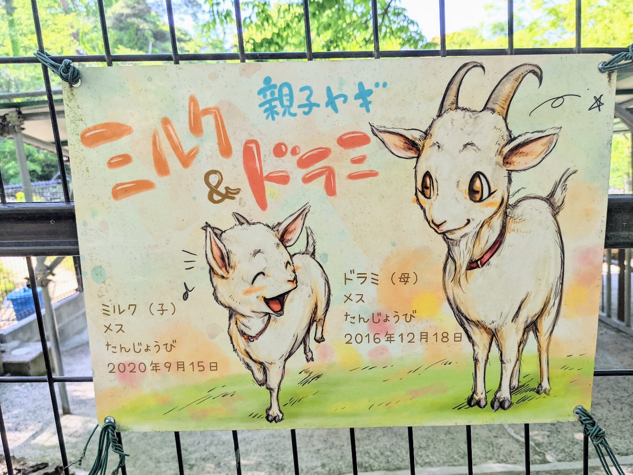 f:id:ranchou:20220725221424j:image