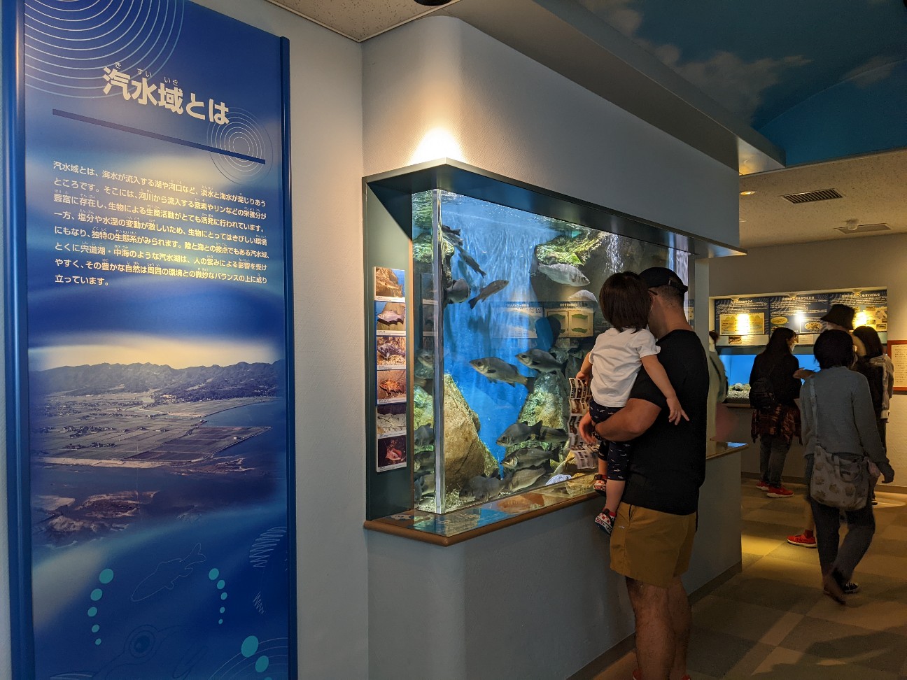 f:id:ranchou:20220726092511j:image