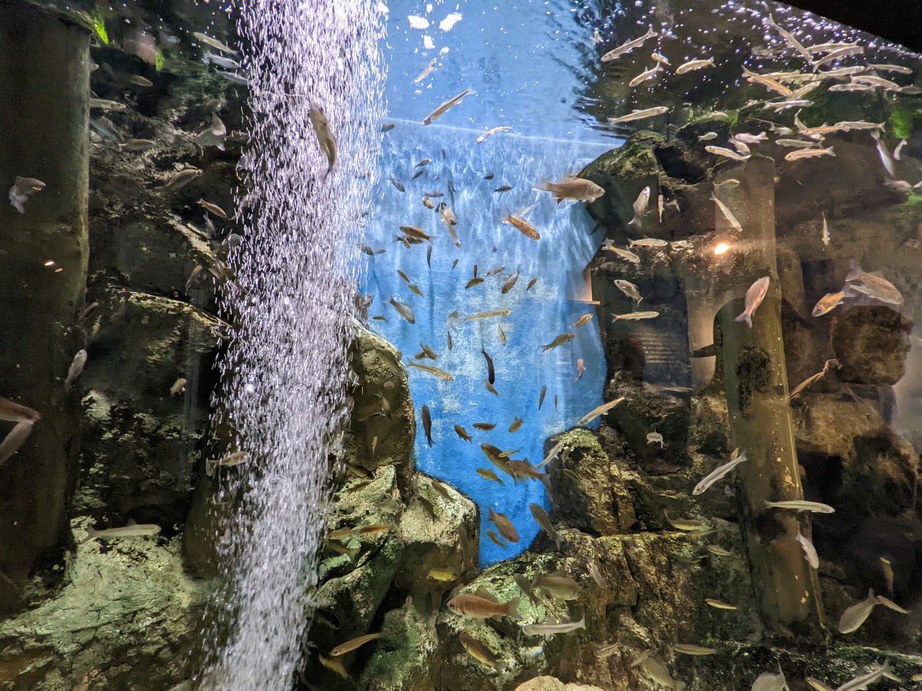 f:id:ranchou:20220726092523j:image