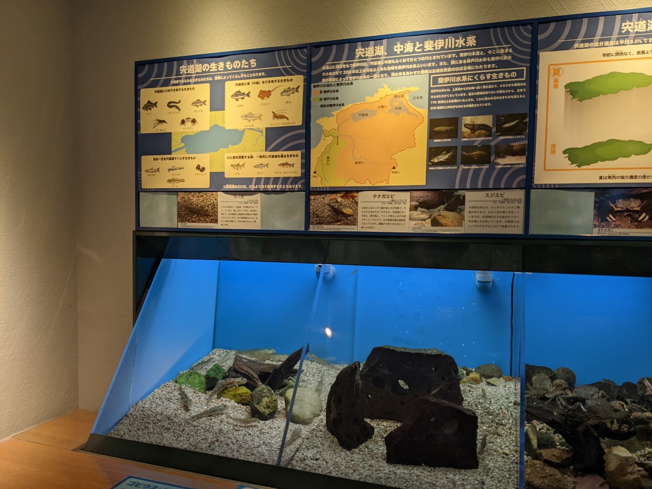 f:id:ranchou:20220726093049j:image