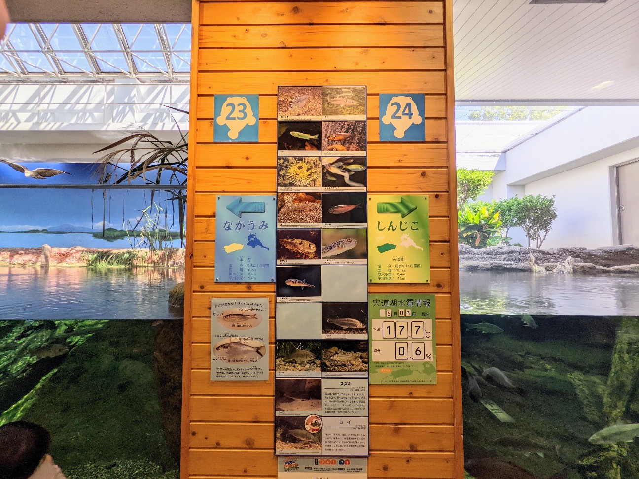 f:id:ranchou:20220726093155j:image