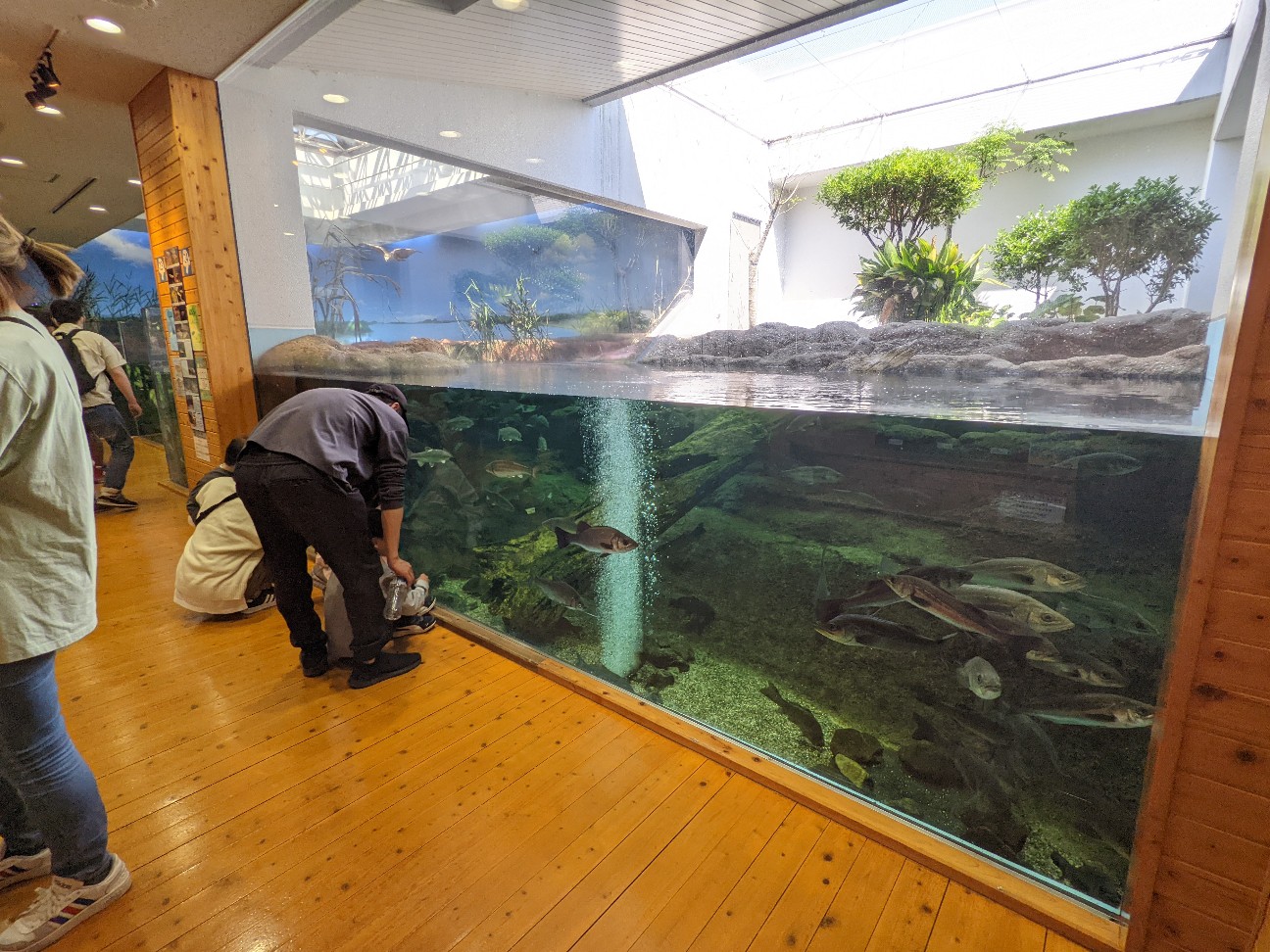 f:id:ranchou:20220726093215j:image