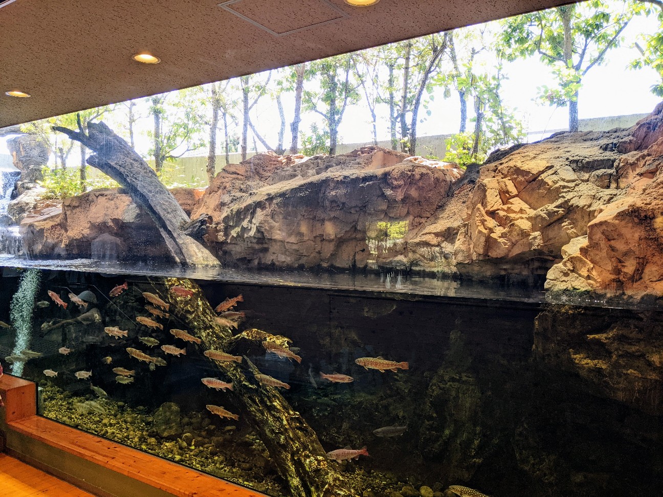 f:id:ranchou:20220726191156j:image