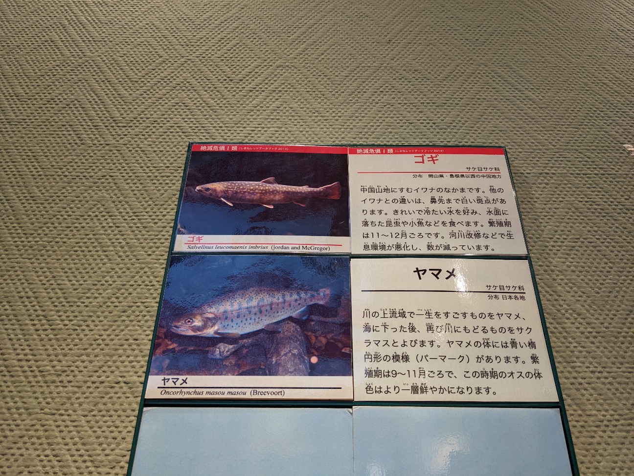 f:id:ranchou:20220726194744j:image