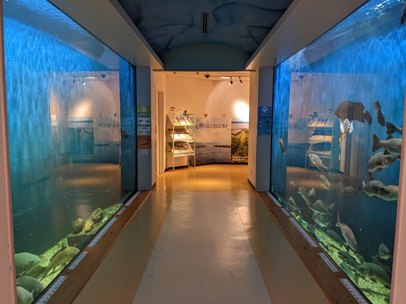 f:id:ranchou:20220726195155j:image