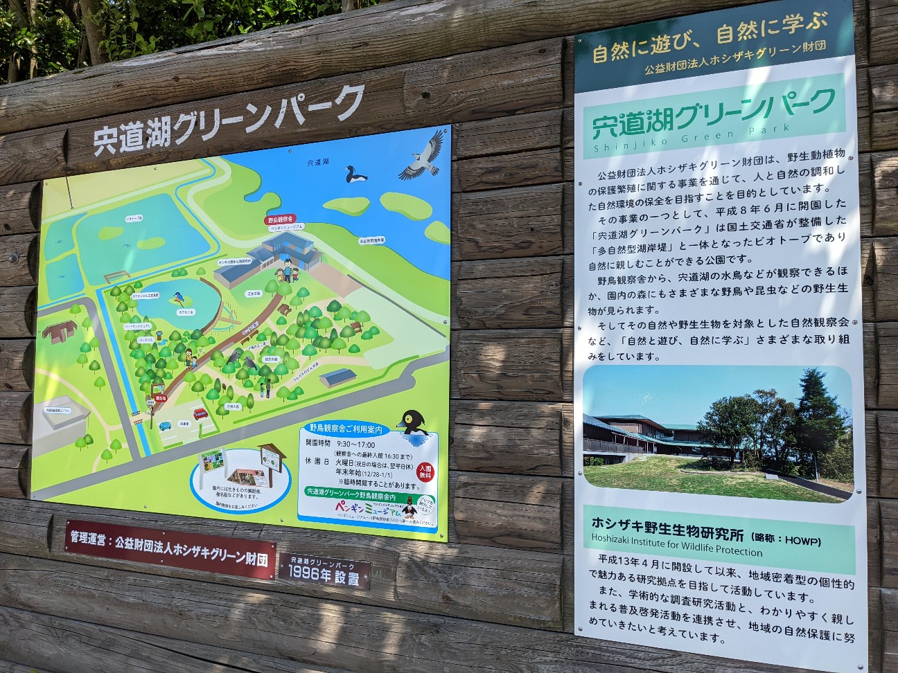 f:id:ranchou:20220726195344j:image