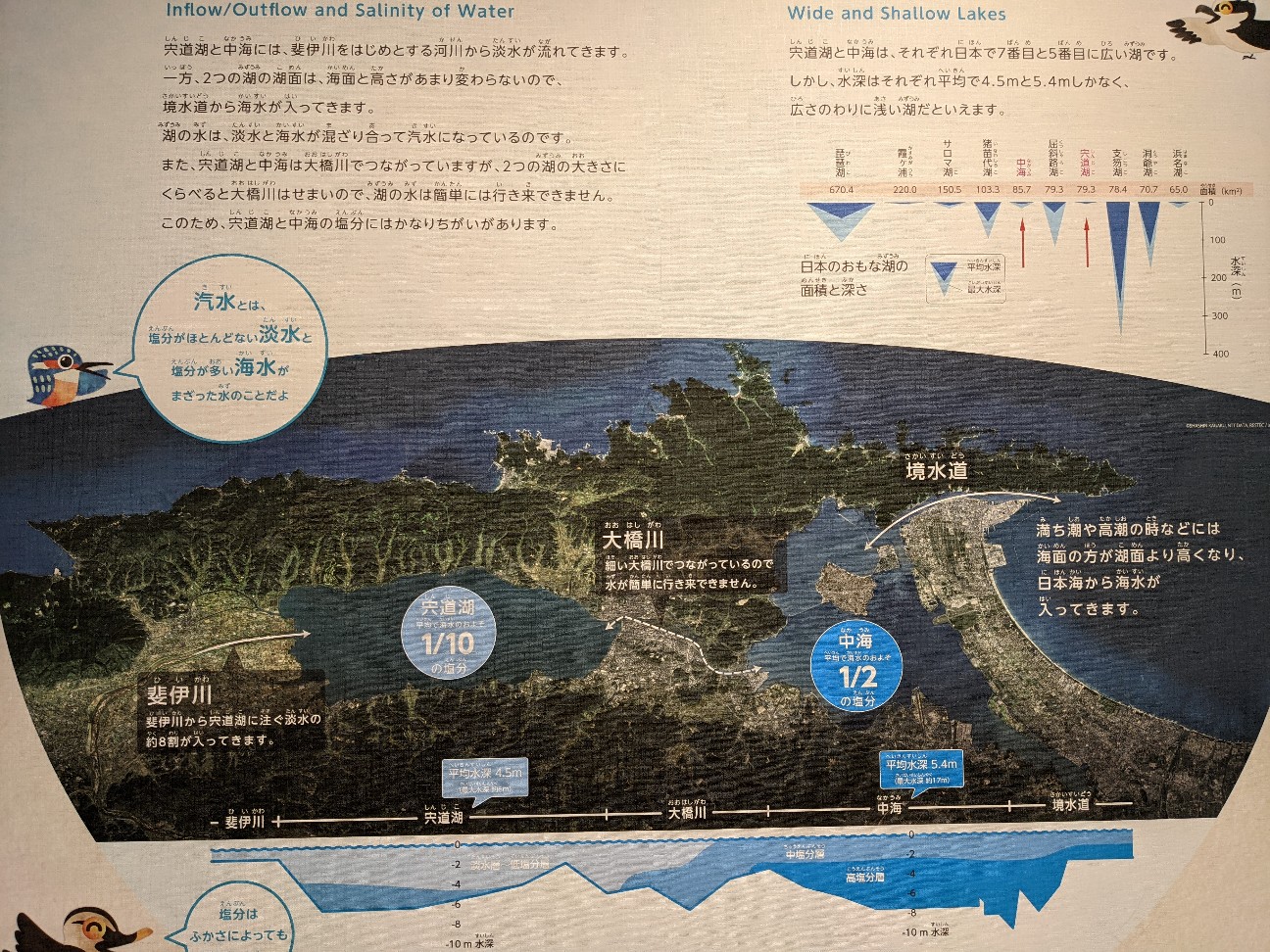 f:id:ranchou:20220726195457j:image