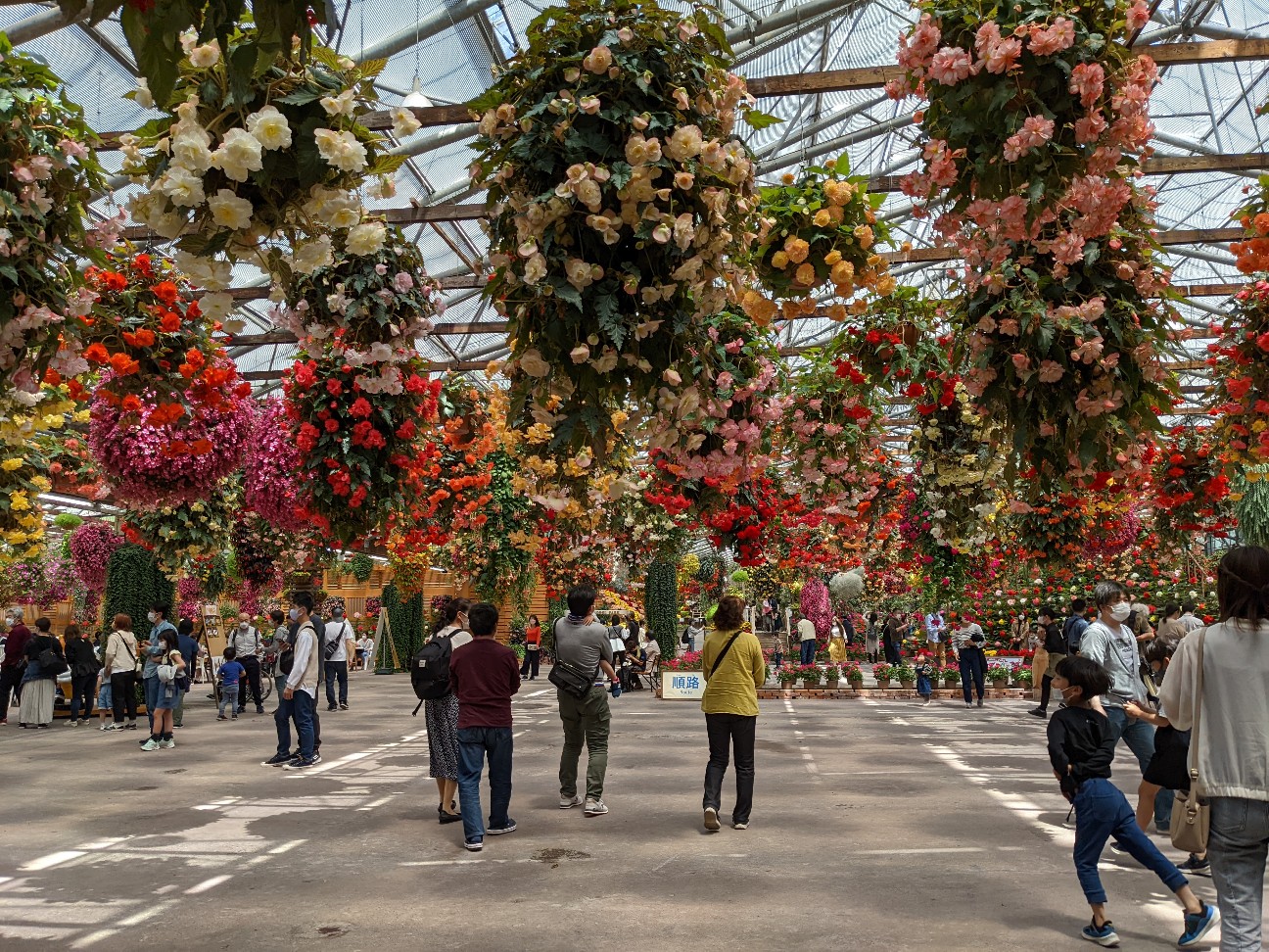 f:id:ranchou:20220727224155j:image