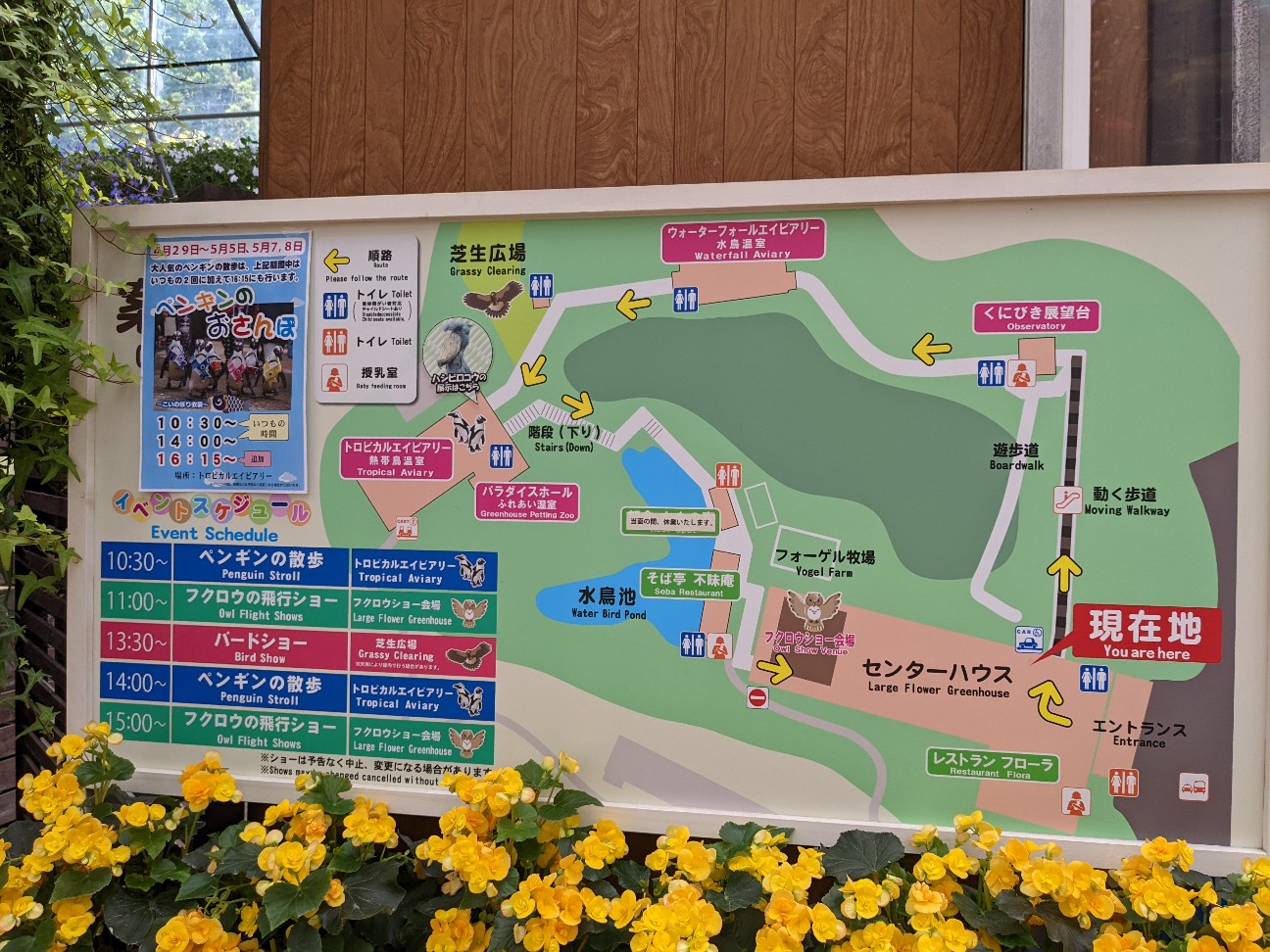 f:id:ranchou:20220727224224j:image