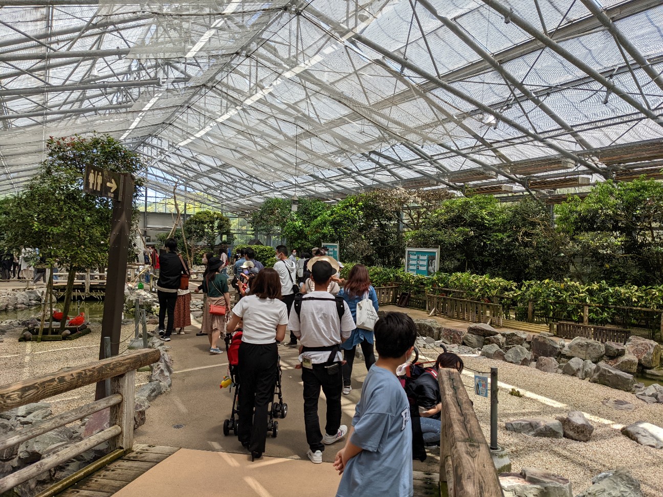 f:id:ranchou:20220727224542j:image